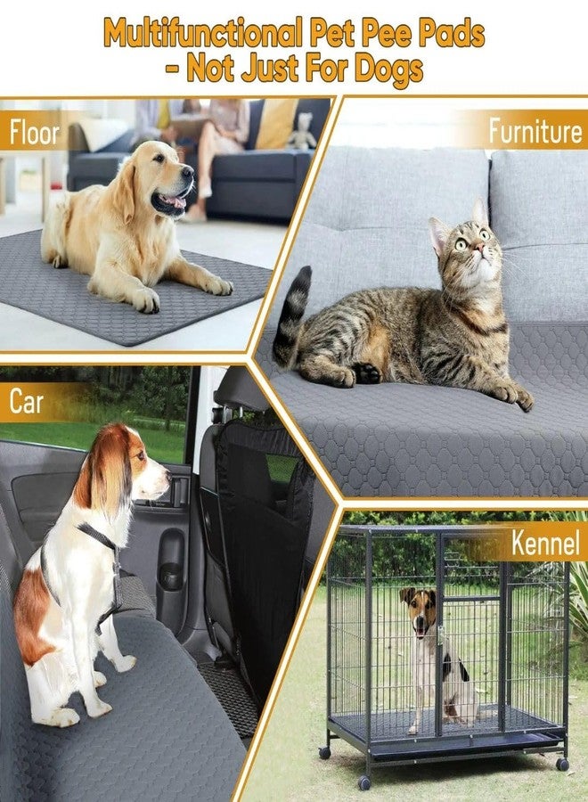 PET FUN فوط تدريب الكلاب القابلة للغسل من بيت فن - فوط تدريب قابلة لإعادة الاستخدام، عالية الامتصاص، مانعة للتسرب للجراء والكلاب الكبيرة في السن | حصيرة تدريب متعددة الأغراض للكلاب (عبوة من قطعة واحدة، 60 × 45 سم) - Image 4